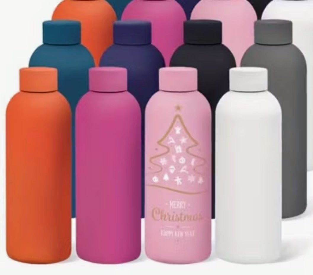 17oz Stainless Steel Water Bottle